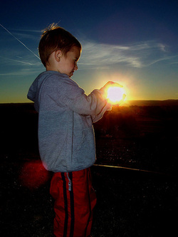 Picture
